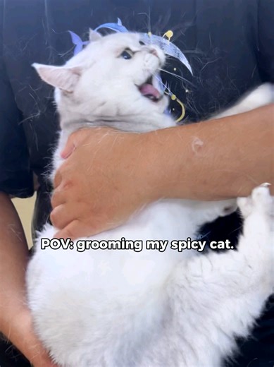 The Magic Cat Wrap That Makes Angry Cats Disappear One wrap. Instant calm. Struggling with an aggressive cat every time you try to trim nails or brush teeth? This grooming wrap works like magic. Gently wrap your cat, and the chaos stops. No scratching. No biting. No wrestling. The soft, cozy fabric helps your cat feel secure while giving you full control to groom safely and stress-free. It’s not about forcing your cat — it’s about turning grooming time into a calm, manageable moment. Perfect for