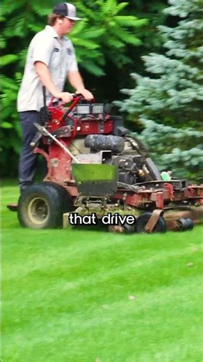 How Often Should You Mow Your Lawn?