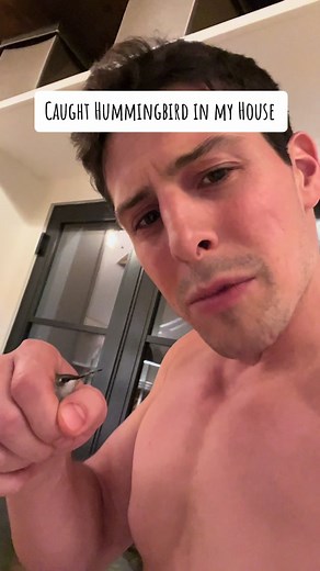 Hummingbird Rescue! 🐦 #hummingbird #hummingbirds #hummingbirdfeeder #hummingbirdsoftiktok #animalrescue #animallover