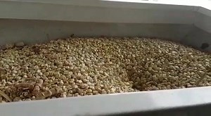 15 reactions | When deciding between a hammer mill and a roller mill the end product and its intended purpose should be the determining factor when making the decision. This month we will be looking at roller mills in depth. | Roff Milling | Facebook