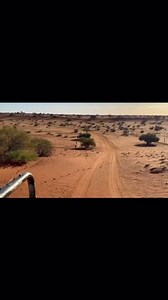 Would you feed them? 📸 Source unknown #mytrophyroom #huntsmart #captureeverymoment #newapp #hunting #huntinglegacy #photooftheday #videooftheday | My Trophy Room