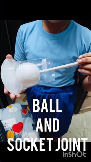 Ball and Socket Joint#model #science #joint #bodyparts #body #artandcraft #drawing #art #artist