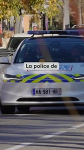 🚔 La police municipale de Mandelieu est désormais équipée de quatre véhicules Tesla. La ville regrette qu'aucun constructeur français n'ait répondu à l'appel d'offres. | Franceinfo