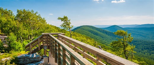 Associate Director of Business Development, LINK - Arlington, Virginia, United States