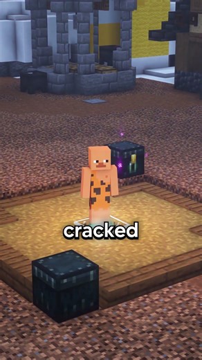 #minecraft #lifstealsmp #minecraftsmp #minecraftbuilding #homiessmp #minecraftmeme