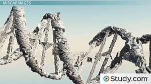 Types of Labor Complication: Preterm, Miscarriages and Stillbirths