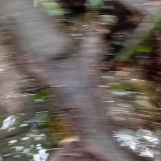 Woww ang dami tabi tabi lang sila | Andrea Vlogs