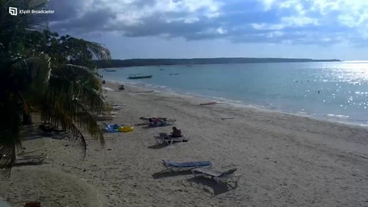 Coco Beach Livestream – CocoLaPalm