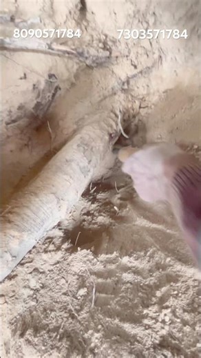 Pinpointer Detecting Under Object #pinpointerdetectingobject #metaldetecting #shortsfeed