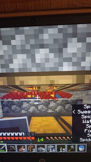 Double cave spider xp farm on my 1.16 Java minecraft world