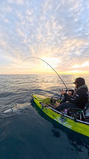 Tuna were blowing up around me, but I hooked this.🤦‍♂️. #kayakfishing #shark #florida | Emerald Coast Kayak Fishing