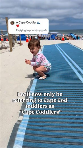 Andrea: Cape Cod Toddler Mom on Instagram: "Devastated I didn’t think of this but grateful someone did 😅 Please join me in renaming Cape Cod toddlers “Cape Coddlers.” It’s too perfect…someone write a book. If you want to get ahead and start planning for summer with your little Cape Coddler, comment ITINERARY and the link to purchase our toddler itineraries for the entire Cape is headed your way! 💌 Follow @toddlingcapecod for all of the best tips for navigating Cape Cod with littles ☀️🌊🦞👧👦 