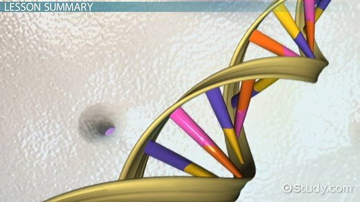 Annealing in Biology | Overview & Process