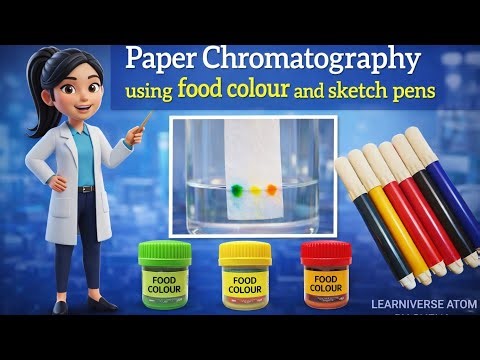 Paper Chromatography🧪Separation of Colours | Simple Science Experiment👩🏻‍🔬