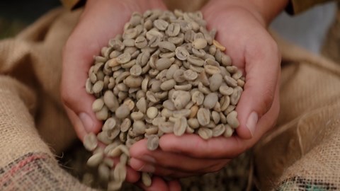 ROYAL KONA COFFEE Whole Bean - 100% Hawaiian Kona Coffee, Private Reserve, Medium Roast, (Pack of 2)