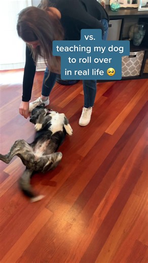 Enseña A Karel Tus Trucos Favoritos en Sandbox