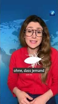 Könnten Kakerlaken bald Leben retten? #tagesschau #nachrichten #kakerlaken