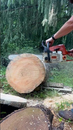 Stihl 039 red lever chainsaw making a cut .