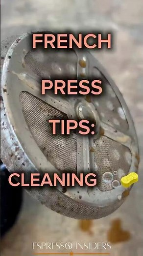 How to Clean Your French Press The Right Way