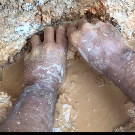 104K views · 1.3K reactions | See THE CRYSTAL COLLECTOR pull 13 Crystals out of this ELESTIAL VEIN at the DIAMOND HILL MINE in SC!!! ⚒ | The Crystal Collector | Facebook