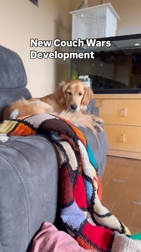 Bunsen, Beaker, Bernoulli & Brix | Beaker looks like a character in The Office | Instagram