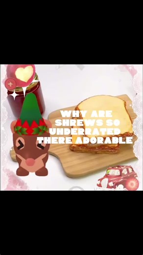 Shrew rant!#SHREWRANT #adoptme #rant #fyp #adoptmeroblox