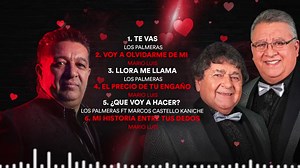 MARIO LUIS vs LOS PALMERAS - GRANDES EXITOS ENGANCHADOS