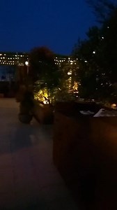 9.7K views · 310 reactions | #reviews Place: comilla, jautola, Hotel Elite Palace sky view Item Faluda : 275 Iccreme : 230 Taste:8.5/10 (যথেষ্ট মজার ছিল  Behaviour : 9/10(Pretty good ) Service :9/10 | Soma Akter | Facebook