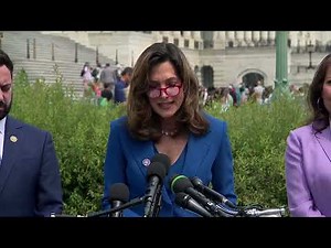 Bipartisan bill offers migrants path to legal residency