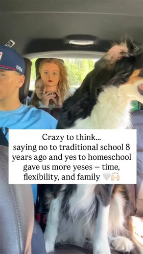 Ready to rethink school in 2026?? I’m here for it 🙌🏻👏🏻🤍 and will be your biggest cheerleader! Here are 5 basic steps to get you going right now: 🌟send letter of intent to your school board &✌🏼out 🌟deschool, play, read, rest, hike, bake, cook, build, swim, sled, get dirty, listen to music, sew, anything other than bookwork and watch your kids curiosity come back 🌟read The Call of the Wild & Free and/or Dumbing us Down and validate your decision to homeschool 👏🏻🤍 🌟find a homeschool fr