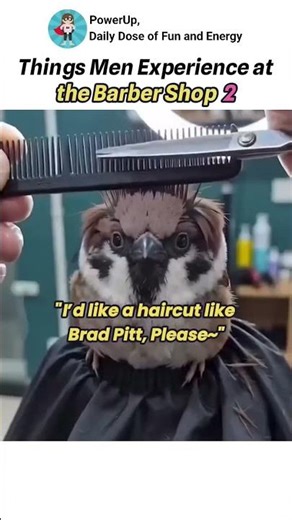 Things men experience at the barber shop 2 #funny #shorts