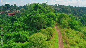 Campuhan Ridge Walk is beautiful travel destination in Ubud with scenery walking trail surrounded picturesque hills overgrown with tropical rainforest and rice terraces Bali, Indonesia 4K Aerial view Stock Video
