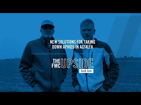New Solutions for Taking Down Aphids in Alfalfa
