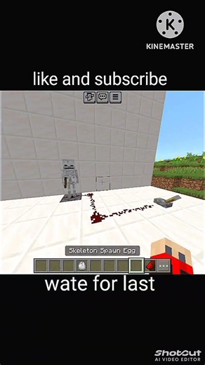 converting skeleton into zombie