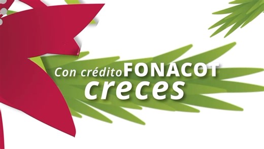 👉🏽Somos la mejor opción de crédito a tu alcance❗❗ 🎄Tramita tu #CréditoFonacot y obtén más pagando menos El financiamiento para las y los trabajadores 👷🏻♀️👨🏾💻🧑💼👩🏽🍳 Checa los requisitos 👉 https://cutt.ly/KwHZ1Zbs Agenda una cita 👉 https://cutt.ly/3wHZ0pay | Fonacot