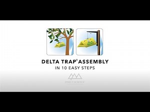 Delta Trap assembly in 10 easy steps - Insect Science