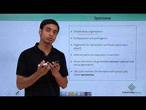 Class 11th – Protozoans – Sporozoa | Biological Classification | Tutorials Point