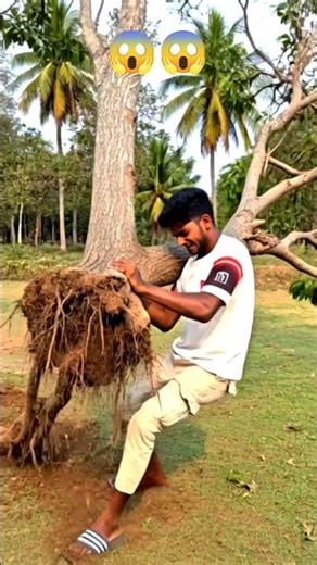 Power কাকে বলে দেখুন 😱💪|#shorts #funny #comedy #ytshorts #viral #shortsfeed #viralvideo .....