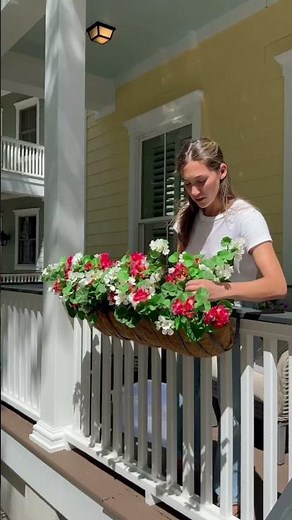 Stop Killing Your Geraniums! ❌ Best No Maintenance Window Box Fillers