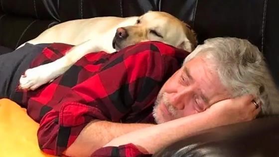 Dogs that can't stop snuggling their humans
