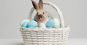 When is Easter 2019 and why does the date change each year?