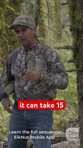ElkNut Slow Play Sequence - Short 5 #elk #elkhunting #elkcalling #bowhunting #publiclandhunting