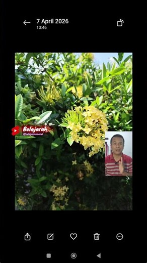 How to Use the AI ​​Beautify Feature on Redmi Phones #tutorial #smartphone