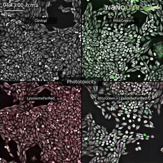 🔬 Dyes stress cells. We don’t.