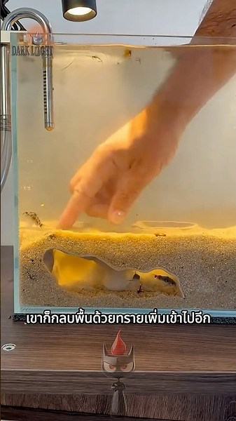He created a secret underground world for fish using a 3D printer! 🐟