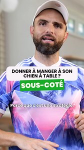 Donner à manger à son chien à table : c’est une stratégie ! Pour encore plus de conseils et d’explications pas à pas pour mieux vivre avec votre chien, découvrez notre formation en ligne Esprit Dog Family : rdv sur espritdog.com ! | Esprit Dog - Tony Silvestre