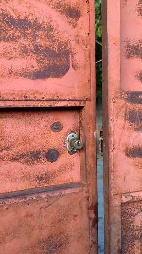 775K views · 10K reactions | Box la chaki 藍藍藍 . . #usa_tiktok #memes #insta #Congo #youtubeshorts #tiktokviral #dog #taylorswift #photographychallengechallenge #2024readingchallenge #trendingpost #tranding #africa #movies | Wakujacomedy | Facebook