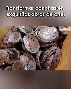 Transformar conchas en exquisitas obras de arte. | Cool Inventions