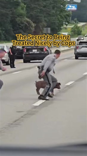 Every traffic stop, every Code 4 radio call—behind the badge is a human heartbeat. 👮‍♂✨ This Thin Blue Line decal isn’t just a symbol—it’s a nod to the officers who turn 'just a job' into a 24/7 mission. Tag a cop who’s made your day safer ↓ #ThinBlueLine #Code4 #HumanizingHeroes