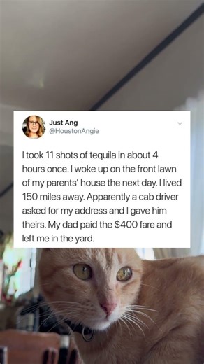 #auracat 🍸